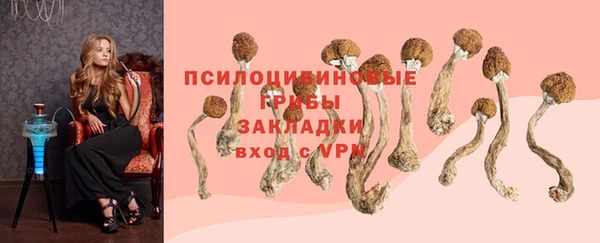 ПСИЛОЦИБИНОВЫЕ ГРИБЫ Аркадак