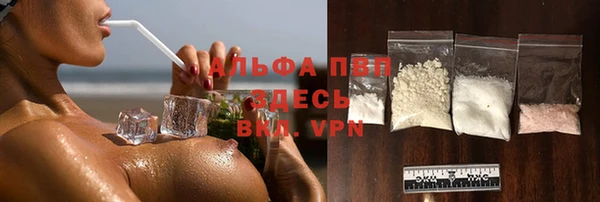 ПСИЛОЦИБИНОВЫЕ ГРИБЫ Аркадак