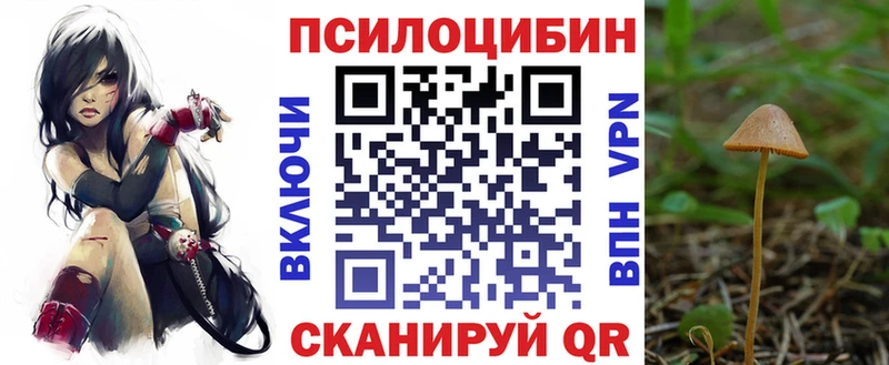MEGA рабочий сайт  Дзержинск  Псилоцибиновые грибы Psilocybe 