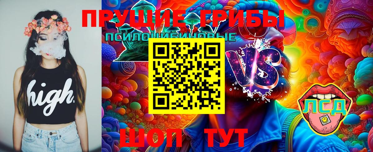 Дзержинск  Псилоцибиновые грибы прущие грибы  Вход с VPN 