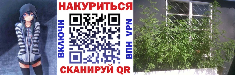 где продают наркотики Дзержинск Конопля конопля